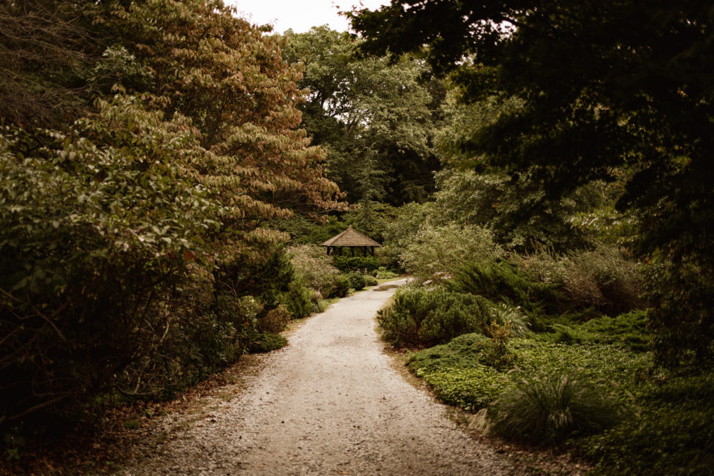 Gazebo and path in arboretum
