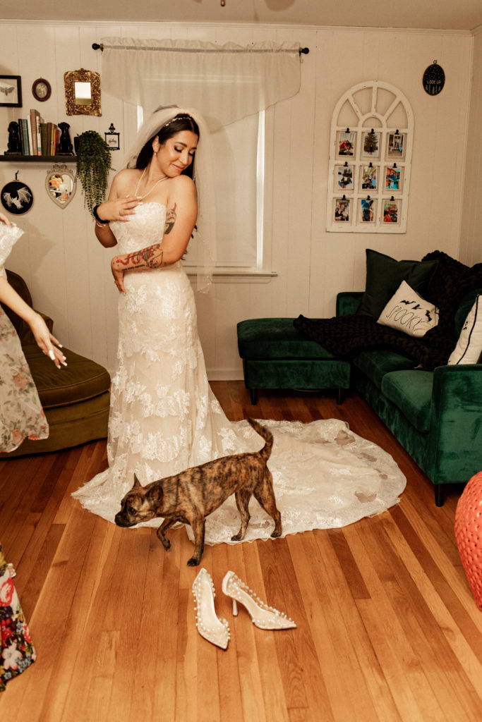 bride in dress with her dog walking on her dress
