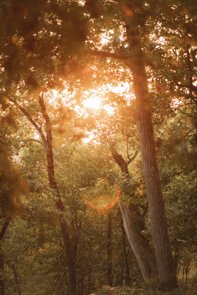 Mount Tammany Adventure Elopement